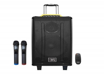 Mx12" Wooden Speaker 100W